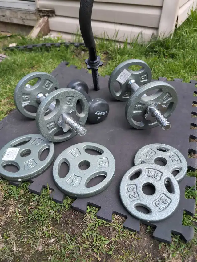 Dumbbell Set452411622739814401
