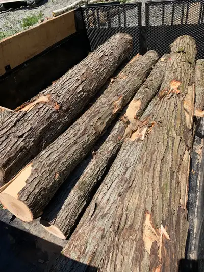 Free Log Drop Off. Primarily Softwood, Rare Ocaisons Hard wood, View more