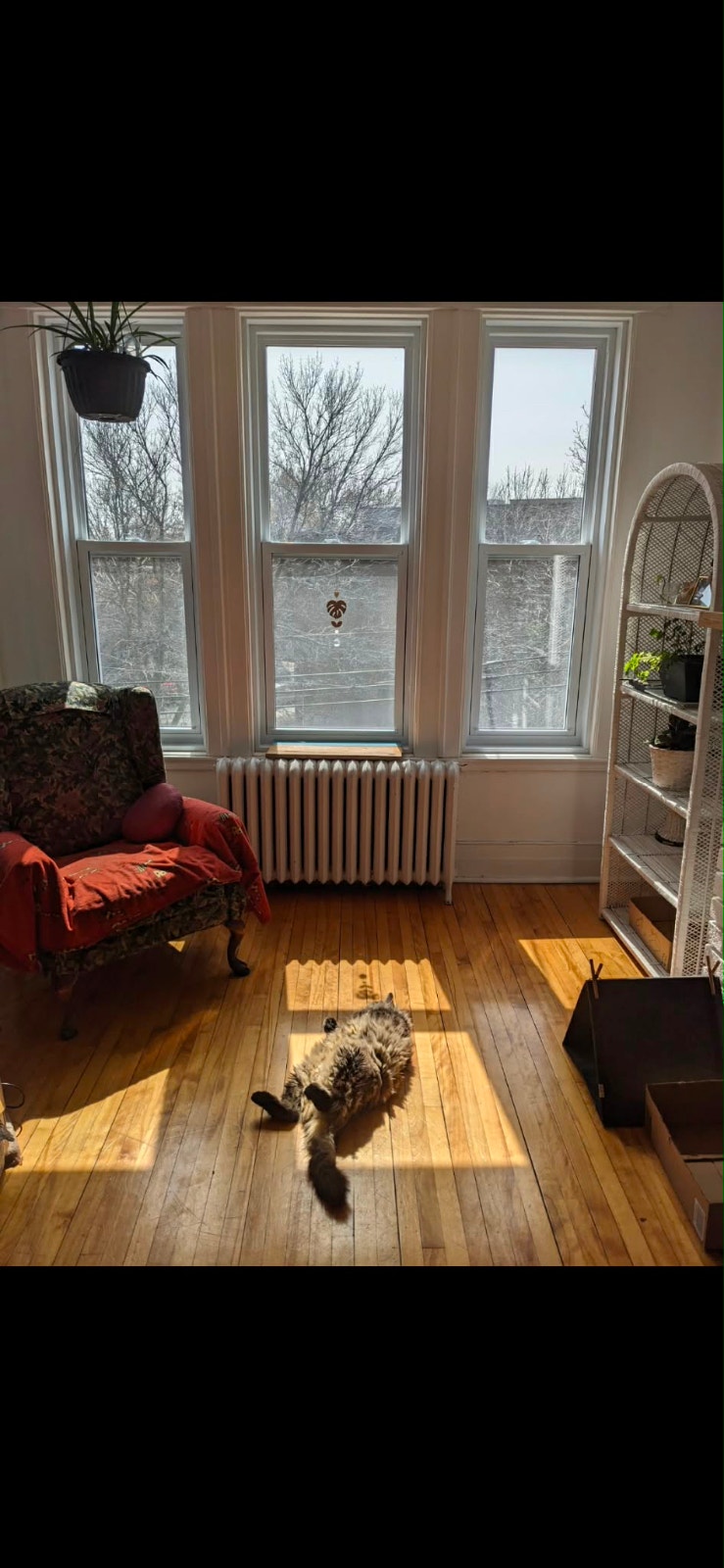 Appartement 6 1/2 à louer (cession de bail) — photo 1