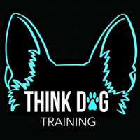 Transform Your Dog's Behavior with Think Dog Balanced Training!
