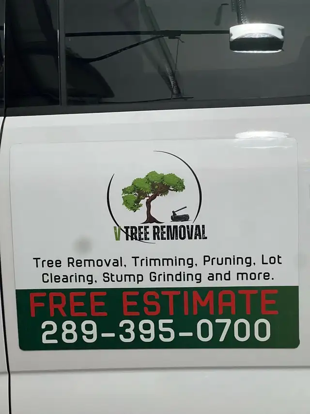 Tree Removal in Lawn, Tree Maintenance & Eavestrough in Oshawa / Durham Region - Image 3