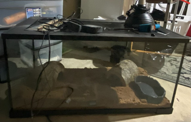 Reptile tank in Accessories in Edmonton - Image 2
