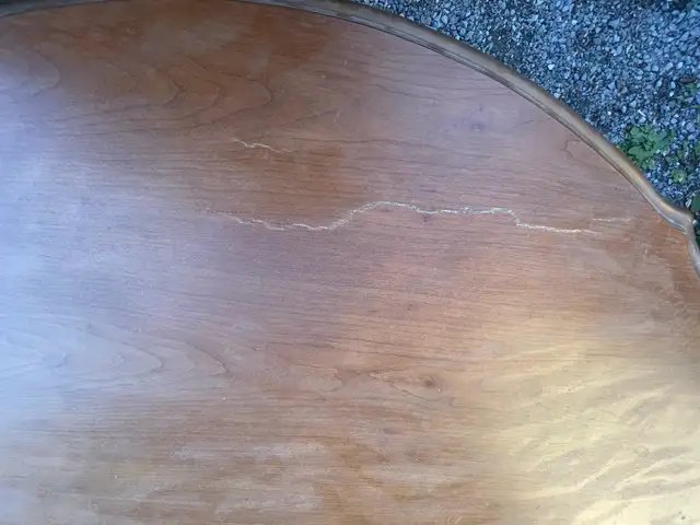 Antique dining set in Dining Tables & Sets in Kingston - Image 7