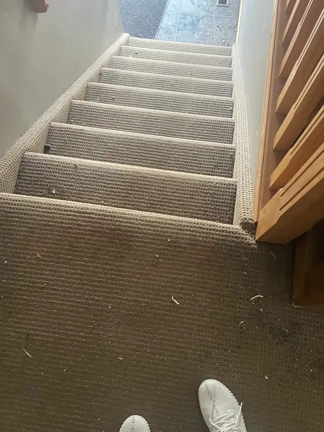 cleaning services541162304838062081