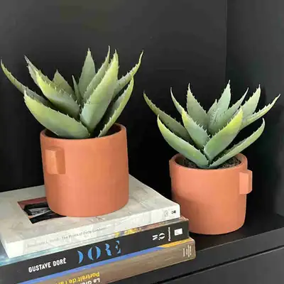 Faux Maison Simons  Aloe Vera plants, View more