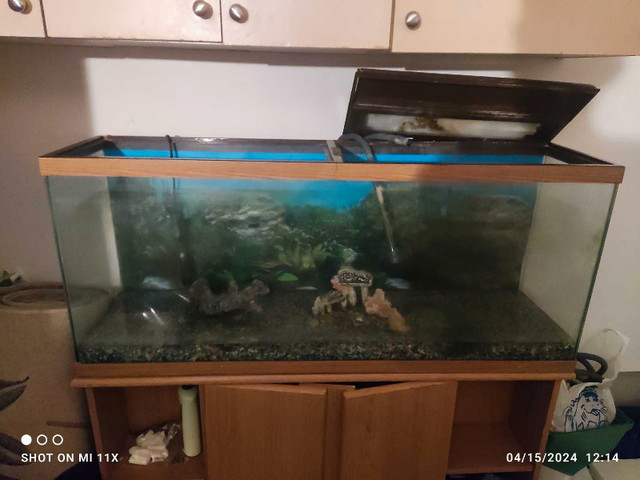 Fish tank in Accessories in Mississauga / Peel Region