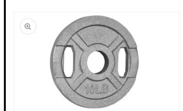 cast iron weight plates ( read description) in Exercise Equipment in Ottawa - Image 3