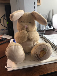 stuffed bunny kept in blue bin for 20 years.