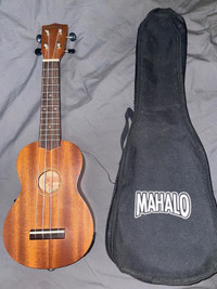 Maholo electric ukulele 