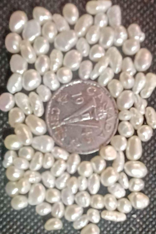 Lot of 100 drilled freshwater pearls, in Penticton in Jewellery & Watches in Penticton - Image 4