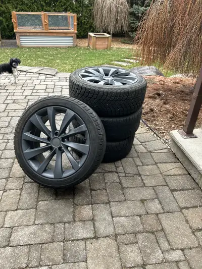 Pneus finis À vendre pour les mags Était sur une Tesla