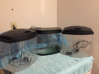 3 small aquariums