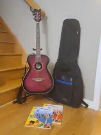 Daisy Rock Acoustic/Electric Guitar, Gig bag,Stand, Strap,Books