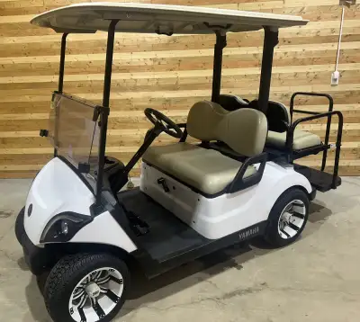 2020 Yamaha Drive2 Gas EFI Golf Cart, View more
