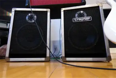 || T R A D E ||  Vintage Traynor CS110 cabinets from 1973 Rare, View more