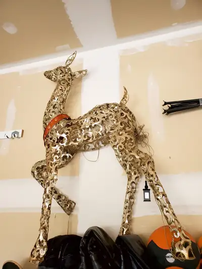 Deer Lights for Christmas, View more