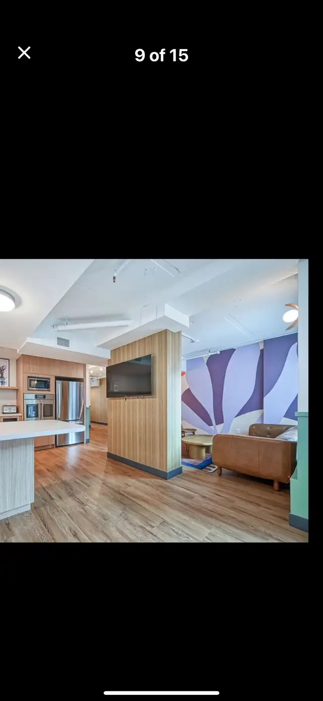 Painting and Staining Expert65561307554433122