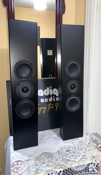 High-End Totem Tribe II Wall-Mount Speakers REDUCED, View more
