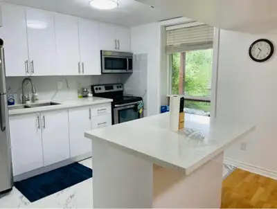 2 Bedroom Walkout Basement in Ajax