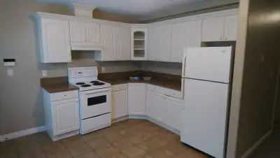 Hi, I have a One (1) Bedroom Basement Suite for rent in a quiet North Burnaby neighborhood. - Spacio...