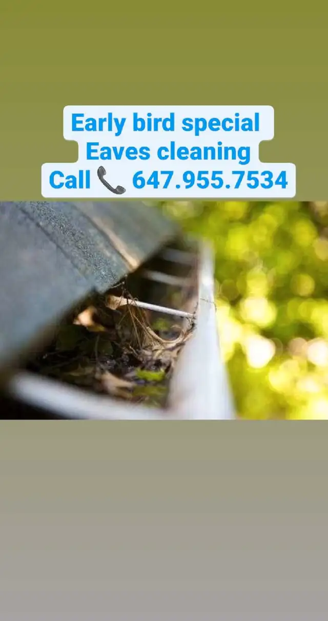 *"Gutter Emergency? We've Got You Covered!"*62863711433857122