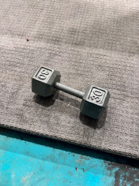 30lbs steel weight 