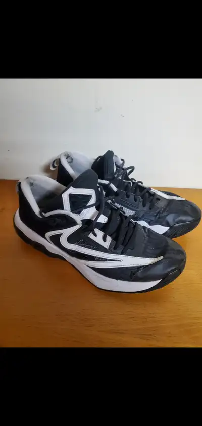 2 Pairs of Size 12 Nike Shoes Used In OK, View more