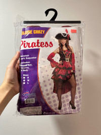 Pirate / Piratess costume