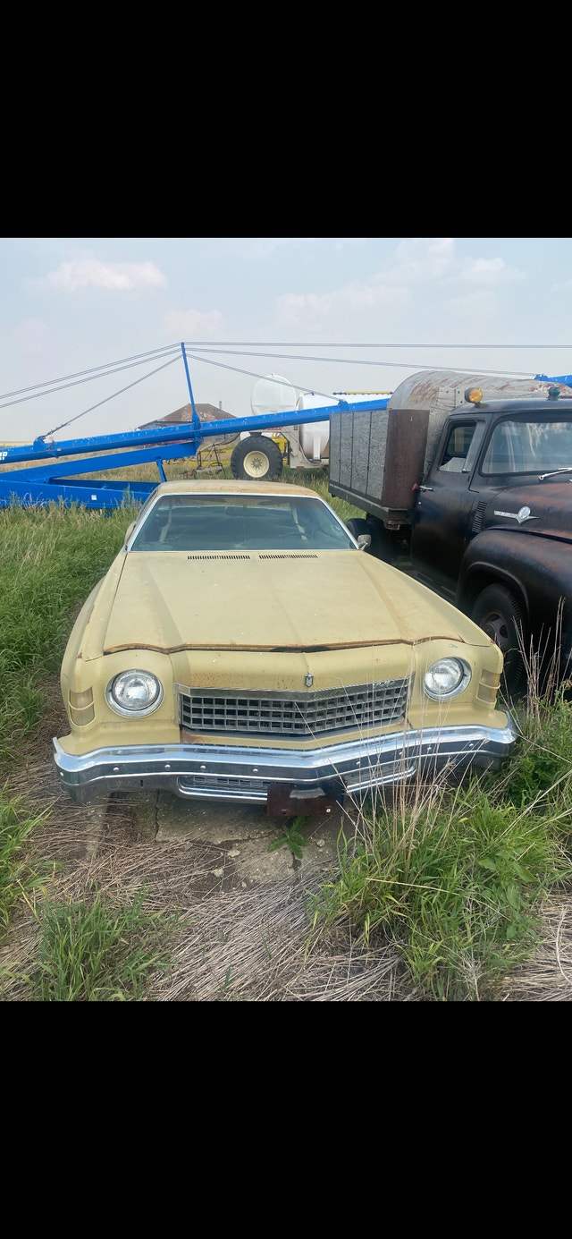 Monte carlo Classic Cars Regina Kijiji