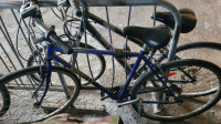 Vélo hybride Minelli MOJAVE, taille M. CROMOLY. Shimano ALTUS.