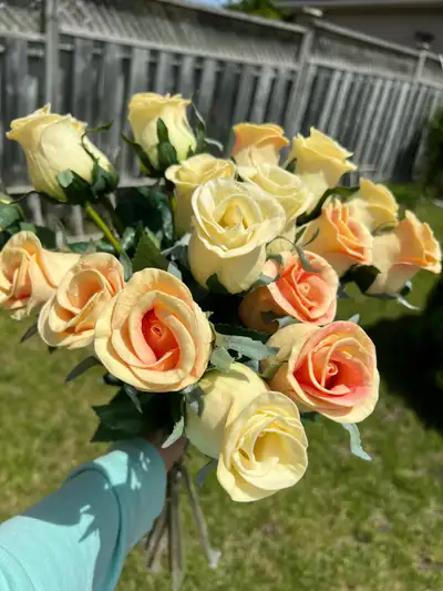Bundle of artificial peach roses! These roses are in good condition, perfect for home decorating