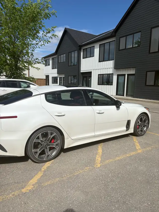 2019 Kia stinger gt2 limited  in Cars & Trucks in Winnipeg - Image 3