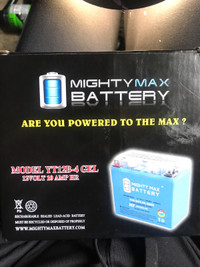 Mighty max battery