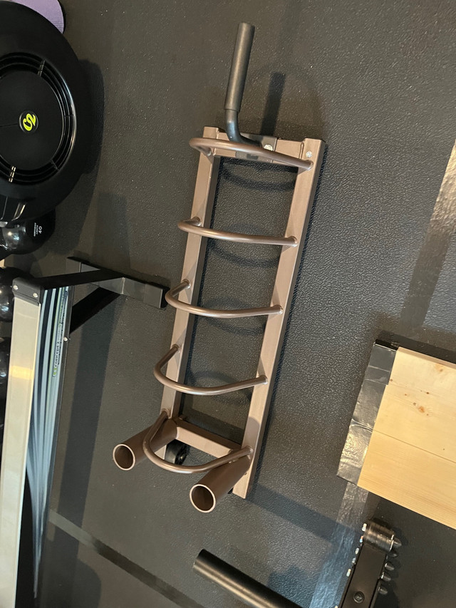 Weight and bar holder in Exercise Equipment in Edmonton