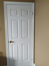 Single Panel Door