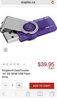 NIP Kingston® DataTraveler 101 G2 32GB USB Flash Drive