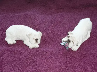 We have a few English Bulldog gifts left that are brand new, NEVER used. They were just browsed at a...