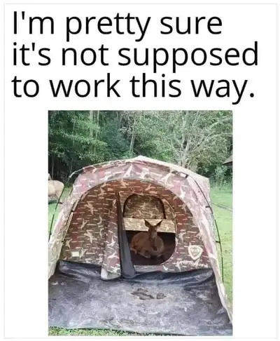 Non Restricted (PAL) – Joffre – November 16, View more