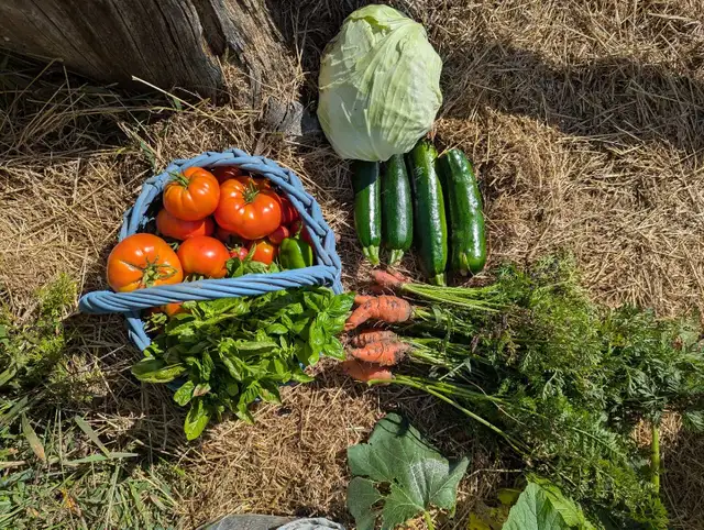 Seed Starting Class 65568773096449122