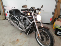 V-Rod Harley Davidson 2009