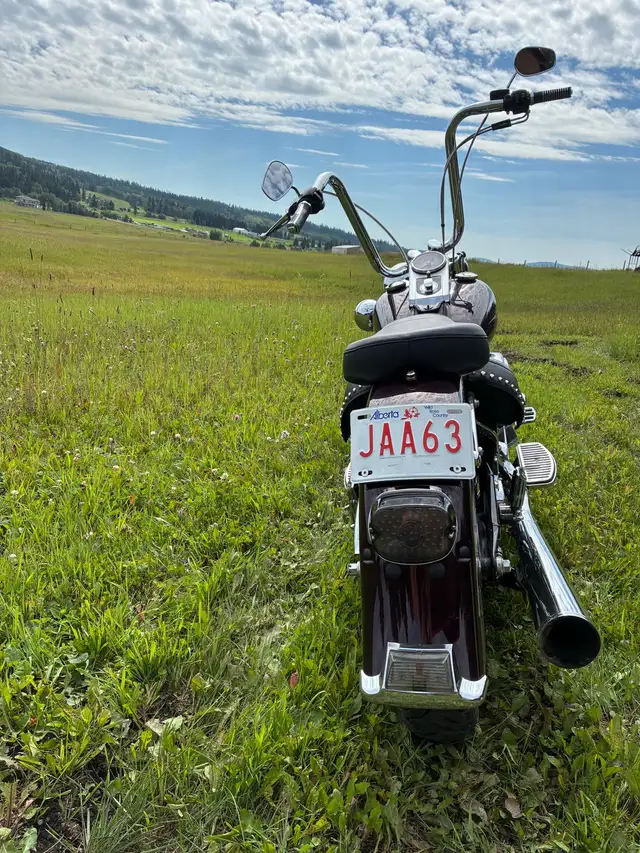 2006 Harley Davidson in Street, Cruisers & Choppers in Calgary - Image 4