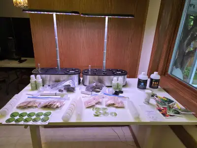 LetPot 12-Pod Smart Hydroponic Gardens, Seeds & pH Control, View more