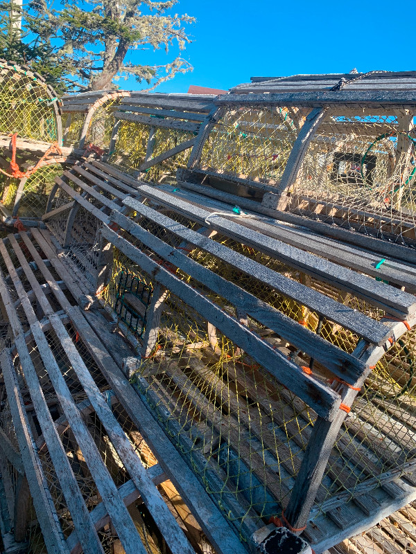 Lobster traps in Other in Yarmouth - Image 4