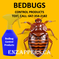 Kitchener Pest Control Services. call, text: 647-354-2182