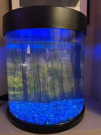 10G crescent aquarium 