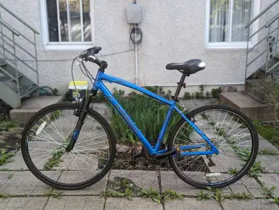 Supercycle Krossroads adult Hybrid Bicycle 18" frame. Bought at Canadian Tire last year and used for...