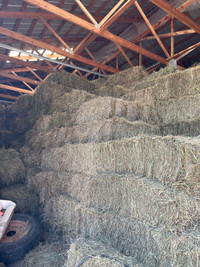 Hay for sale,