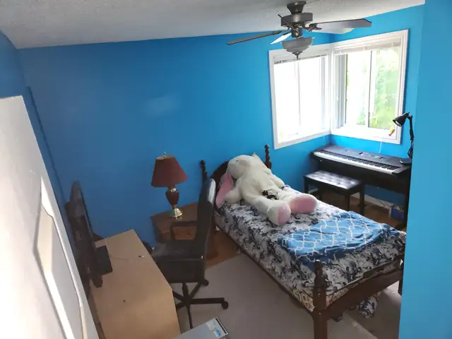 Pet friendly room for rent shared accommodations. in Long Term Rentals in Ottawa - Image 2