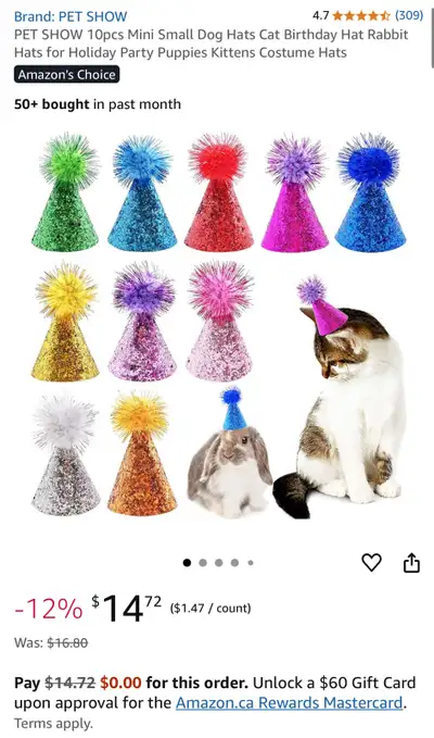 Pet Party Hats, View more