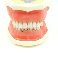 Dental instruments for sale